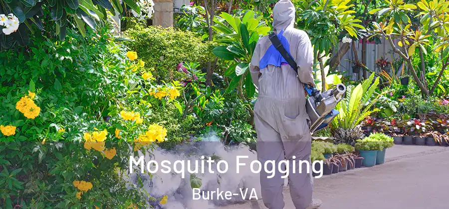  Mosquito Fogging Burke-VA