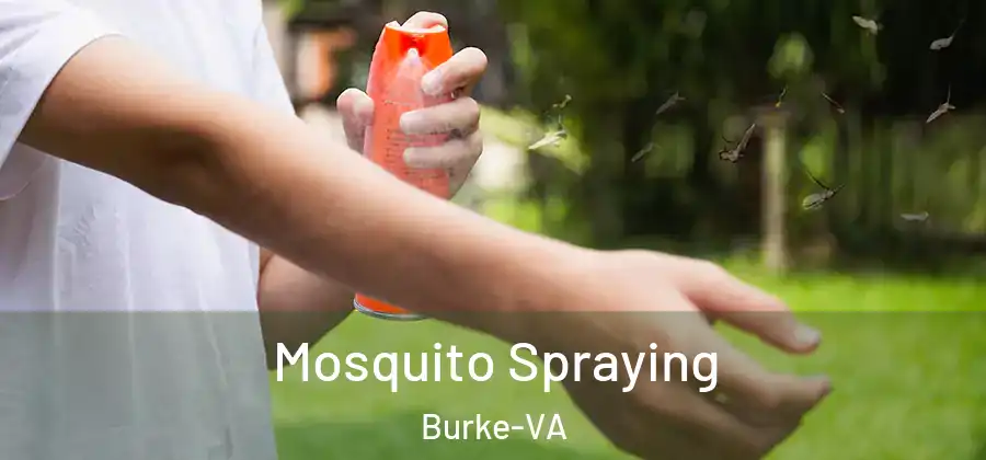 Mosquito Spraying Burke-VA