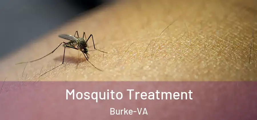 Mosquito Treatment Burke-VA