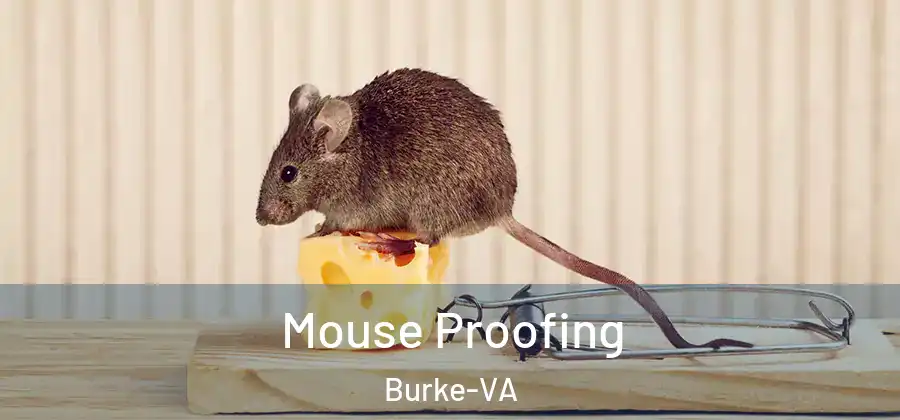 Mouse Proofing Burke-VA