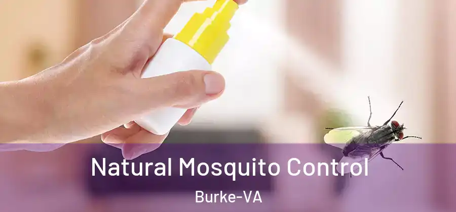  Natural Mosquito Control Burke-VA