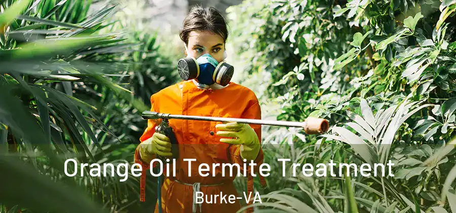  Orange Oil Termite Treatment Burke-VA
