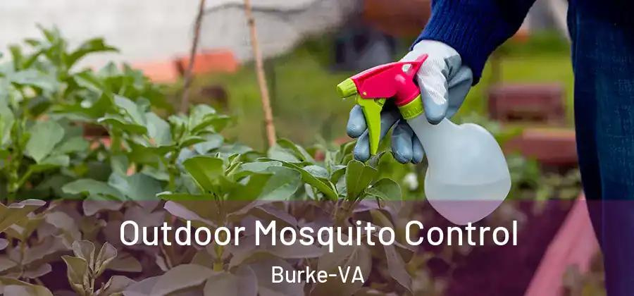  Outdoor Mosquito Control Burke-VA