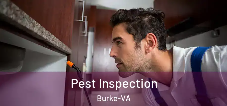  Pest Inspection Burke-VA