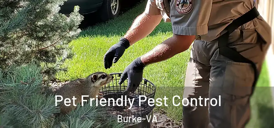  Pet Friendly Pest Control Burke-VA