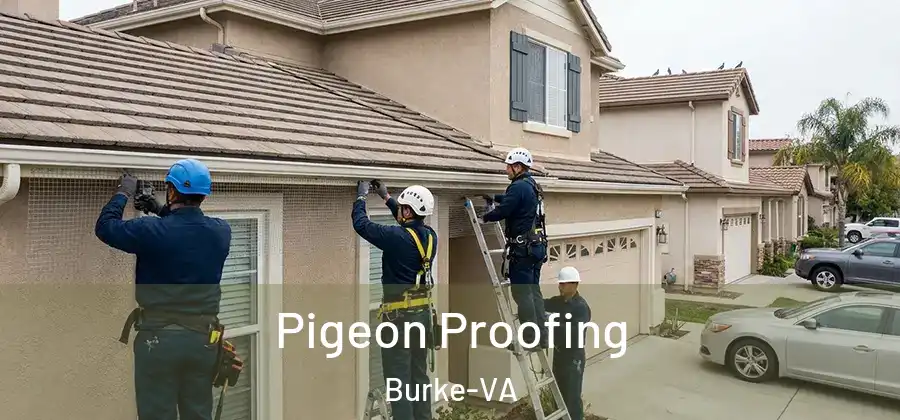  Pigeon Proofing Burke-VA