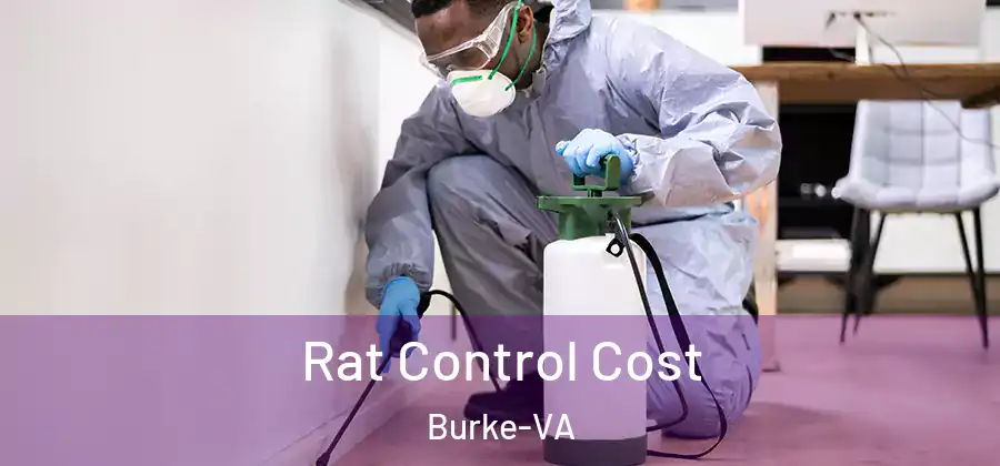 Rat Control Cost Burke-VA