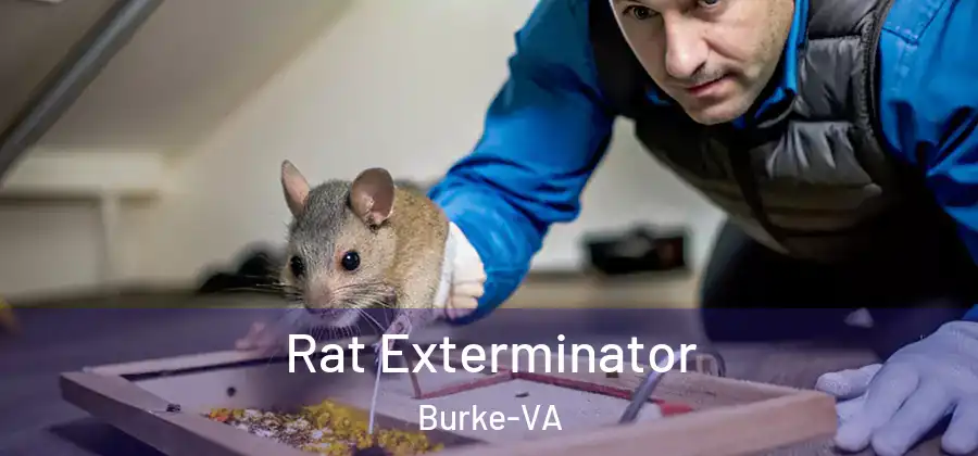  Rat Exterminator Burke-VA