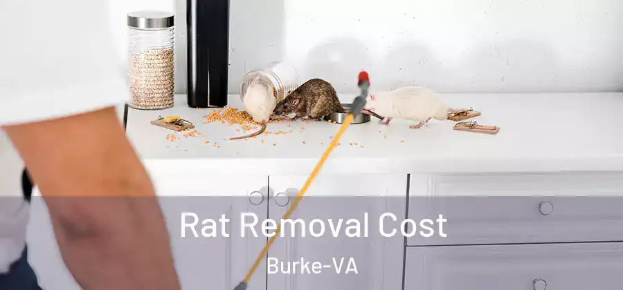  Rat Removal Cost Burke-VA