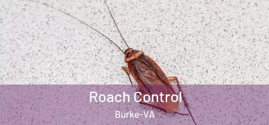  Roach Control Burke-VA