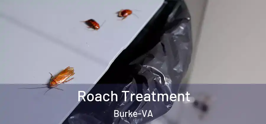Roach Treatment Burke-VA