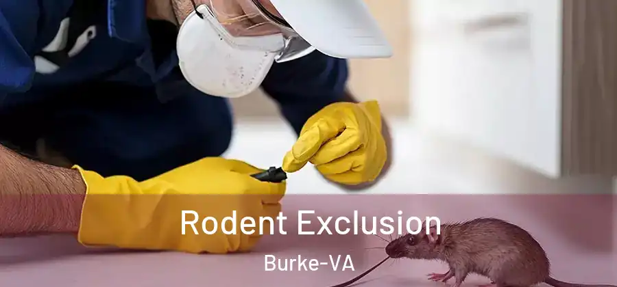  Rodent Exclusion Burke-VA