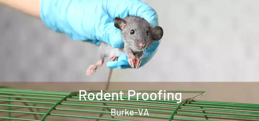  Rodent Proofing Burke-VA
