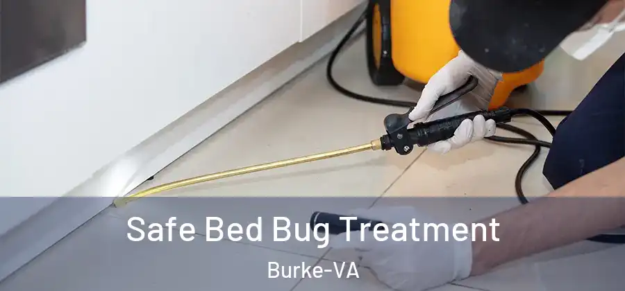  Safe Bed Bug Treatment Burke-VA