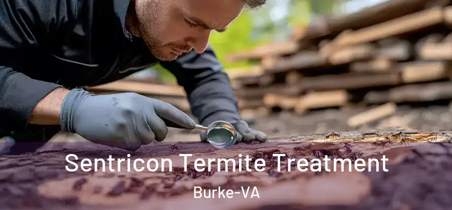  Sentricon Termite Treatment Burke-VA