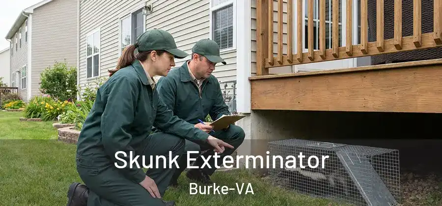 Skunk Exterminator Burke-VA