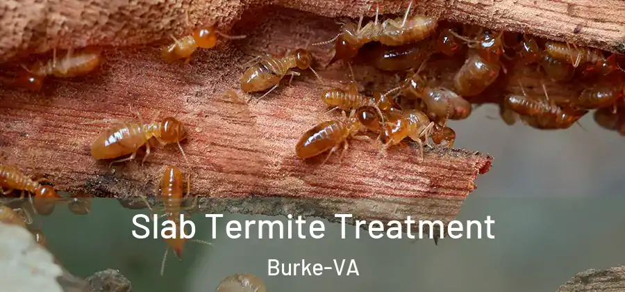  Slab Termite Treatment Burke-VA