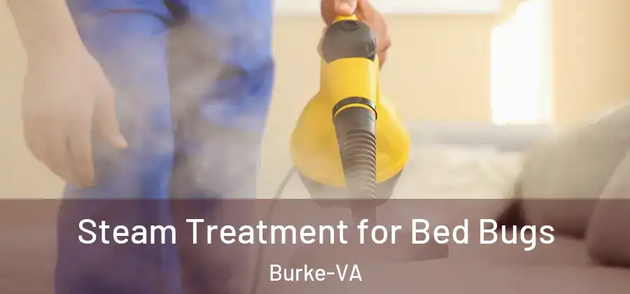  Steam Treatment for Bed Bugs Burke-VA