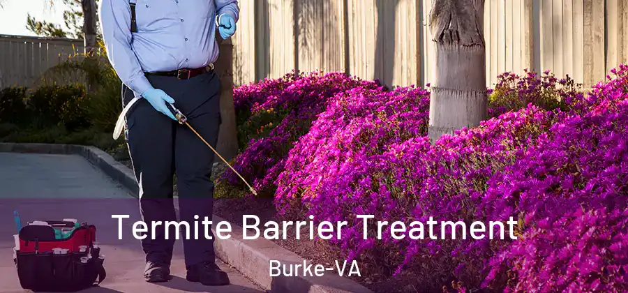  Termite Barrier Treatment Burke-VA