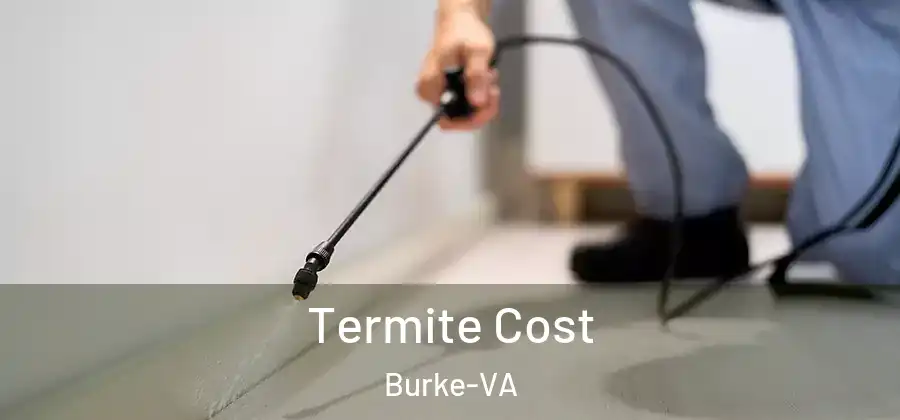  Termite Cost Burke-VA