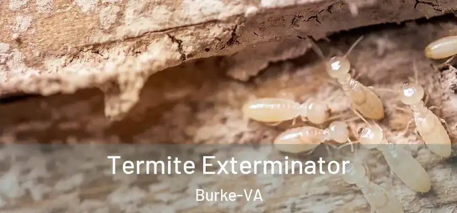 Termite Exterminator Burke-VA
