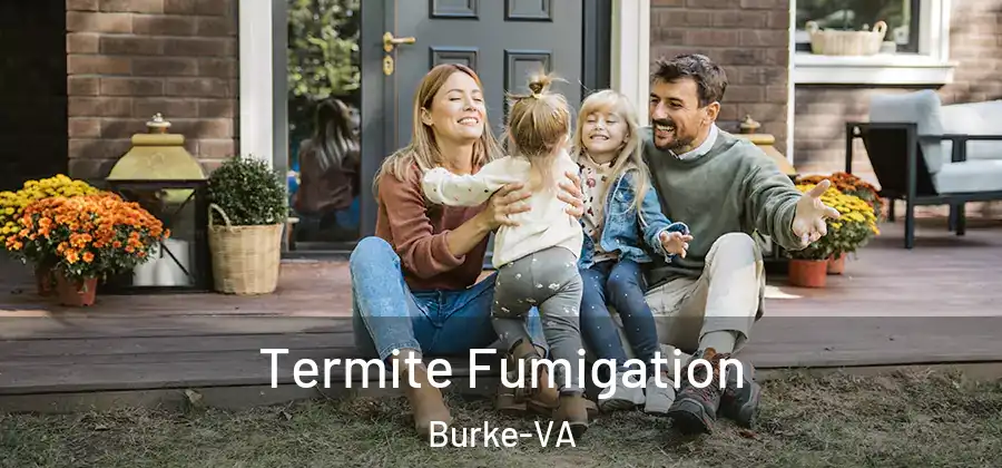 Termite Fumigation Burke-VA