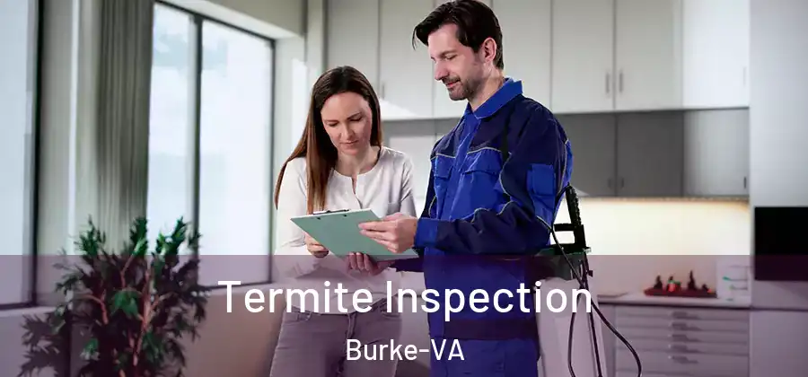 Termite Inspection Burke-VA