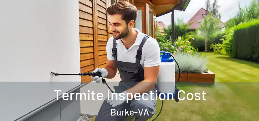  Termite Inspection Cost Burke-VA
