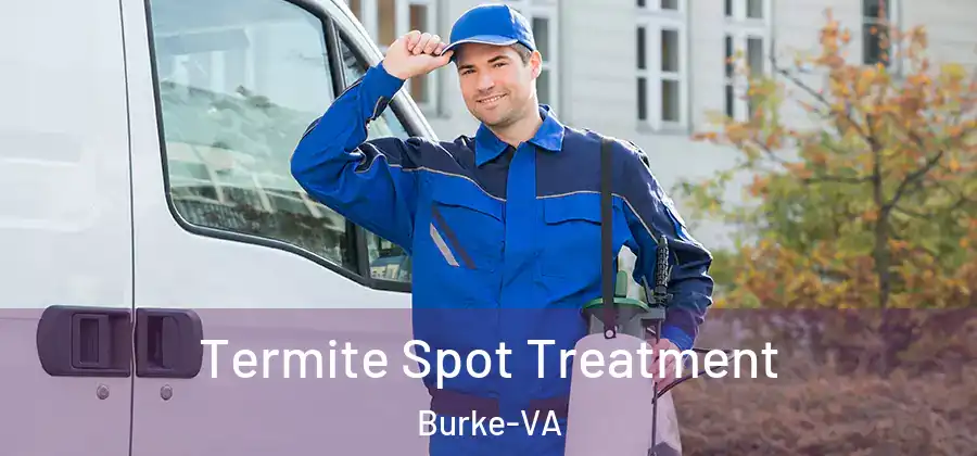  Termite Spot Treatment Burke-VA