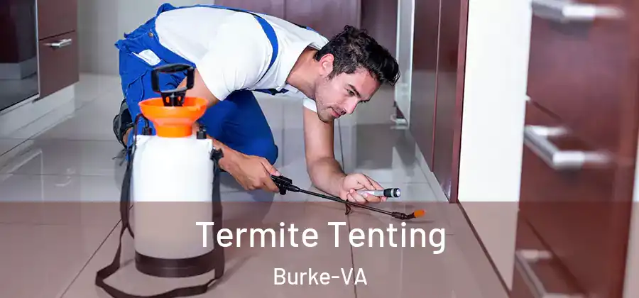 Termite Tenting Burke-VA