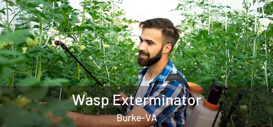  Wasp Exterminator Burke-VA