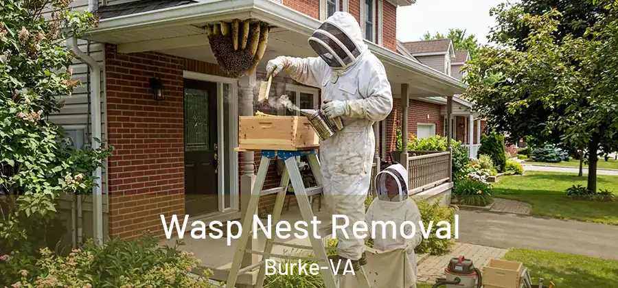 Wasp Nest Removal Burke-VA