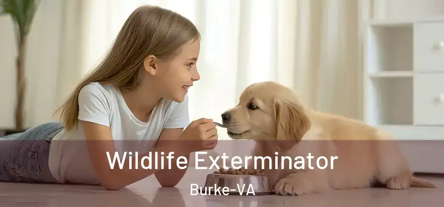  Wildlife Exterminator Burke-VA