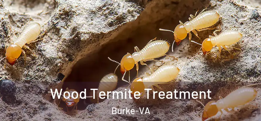  Wood Termite Treatment Burke-VA
