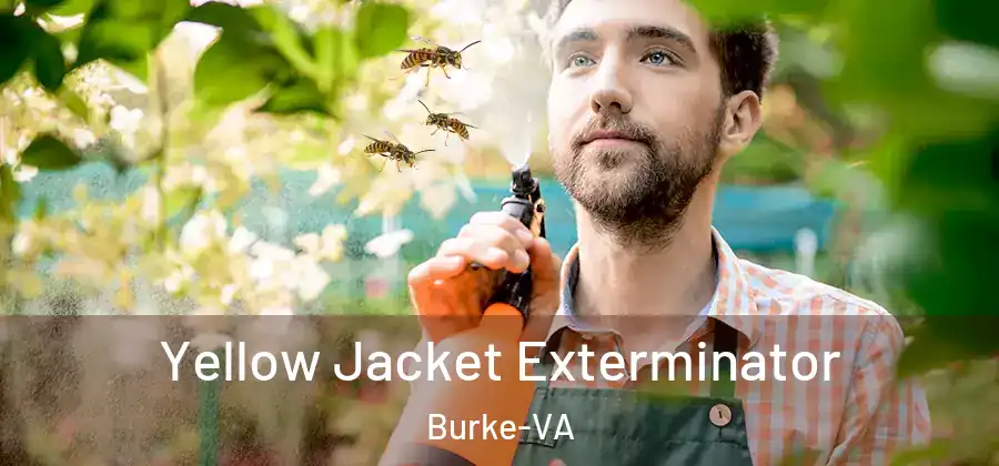  Yellow Jacket Exterminator Burke-VA
